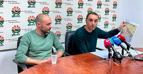 UPA-UCE reclama a la Junta que intervenga ante el abuso de las industrias del tomate