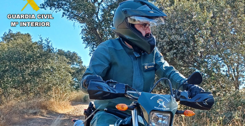 La Guardia Civil denuncia a dos personas por dar muerte a especies no autorizadas en una batida