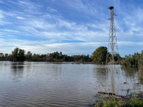Puebla de la Calzada por la zona del camino viejo a Lob&oacute;n. Ayuntamiento Puebla de la Calzada