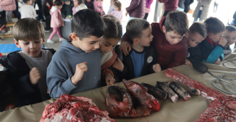 I Matanza Didáctica en Barbaño