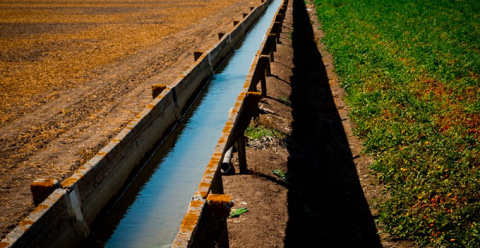 Foto: Ministerio Agricultura, Pesca y Alimentación