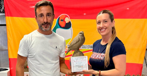 Lluvia de medallas para Alfonso Romero en el VII Monográfico Club Diamante de Gould España