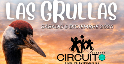 La XXIV Ruta de las Grullas invita a descubrir uno de los grandes espectáculos naturales del invierno extremeño