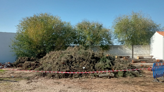 [Img #100689]